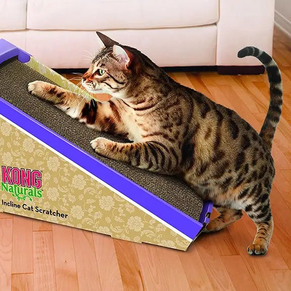 Scratchers Tunnels AARF Pet Central